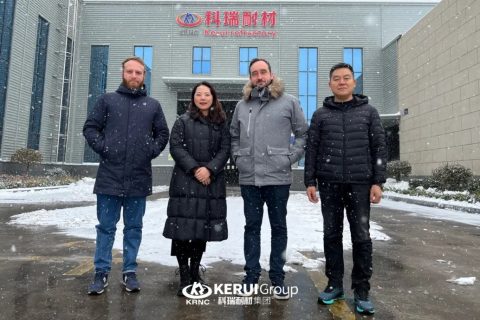『龙年新征程』热烈欢迎意大利客人到访必一耐材集团参观考察！
